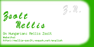 zsolt mellis business card